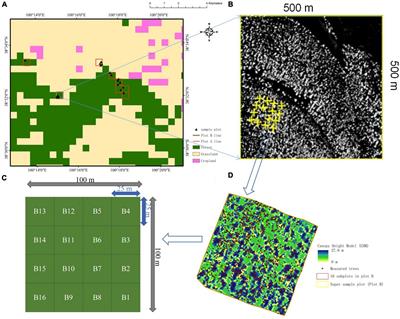 Impacts of clumping effect on canopy reflectance using 3D radiative transfer modeling